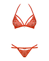 Biustonosz i stringi